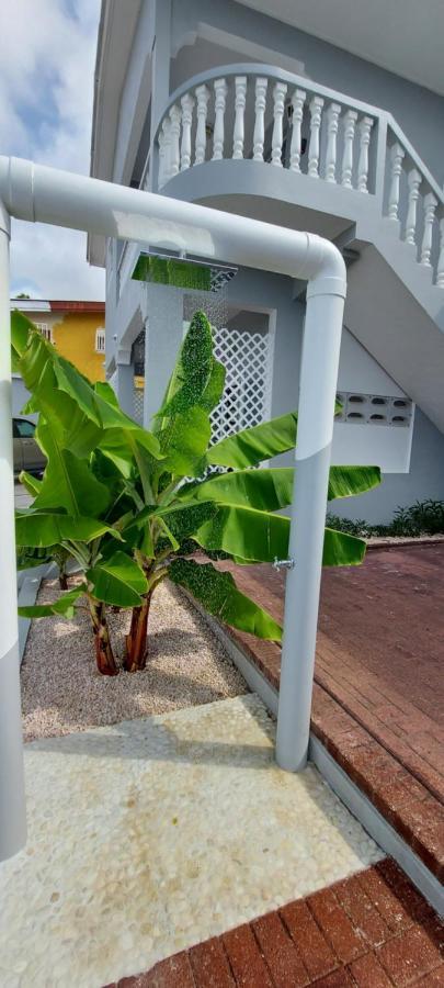 Villa Raven'S Paradise Willemstad Exterior photo