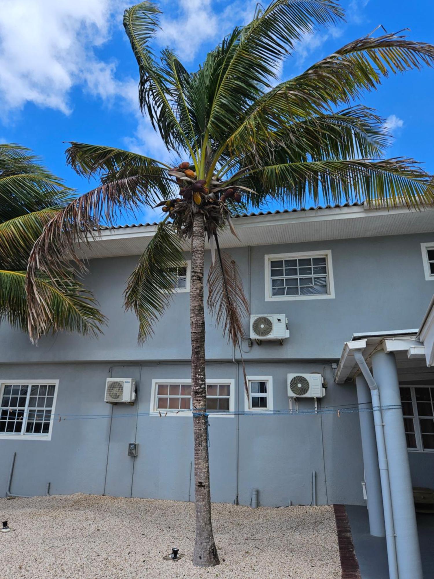 Villa Raven'S Paradise Willemstad Exterior photo