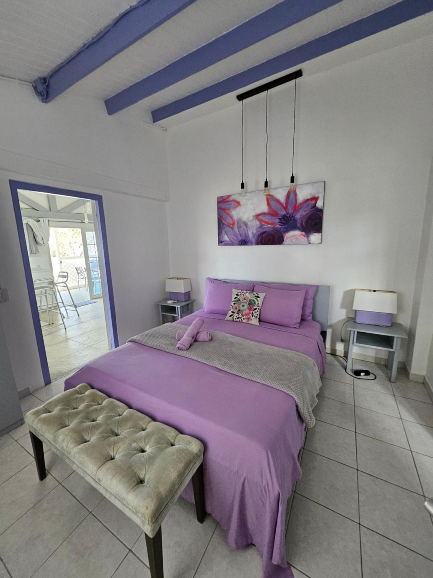 Villa Raven'S Paradise Willemstad Exterior photo